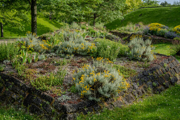 Fototapeta premium image of a rockery flower bed in park