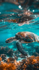 Obraz premium a turtle under the water with turquoise background