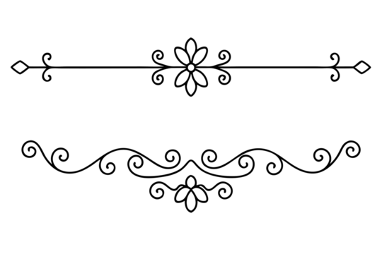 graphic with a black white  plant flower  ornament on an isolated background