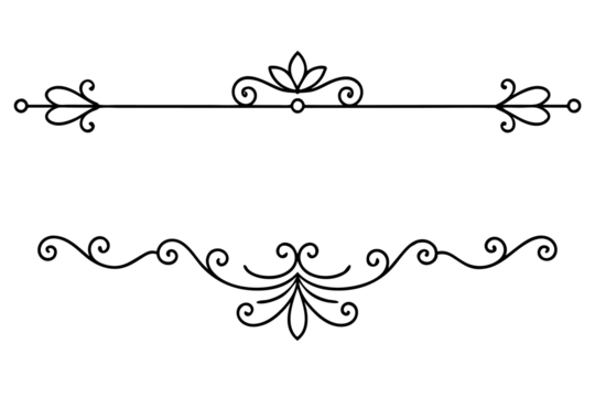 graphic with a black white  plant flower  ornament on an isolated background