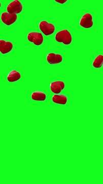 Rain of 3d glossy isometric red hearts falling slow on green screen. Love, romantic effect and valentine's day concept. Wedding background, vertical loop. Phone wallpaper	
