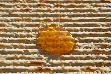 Jewish Passover matzah with honey, closeup of photo