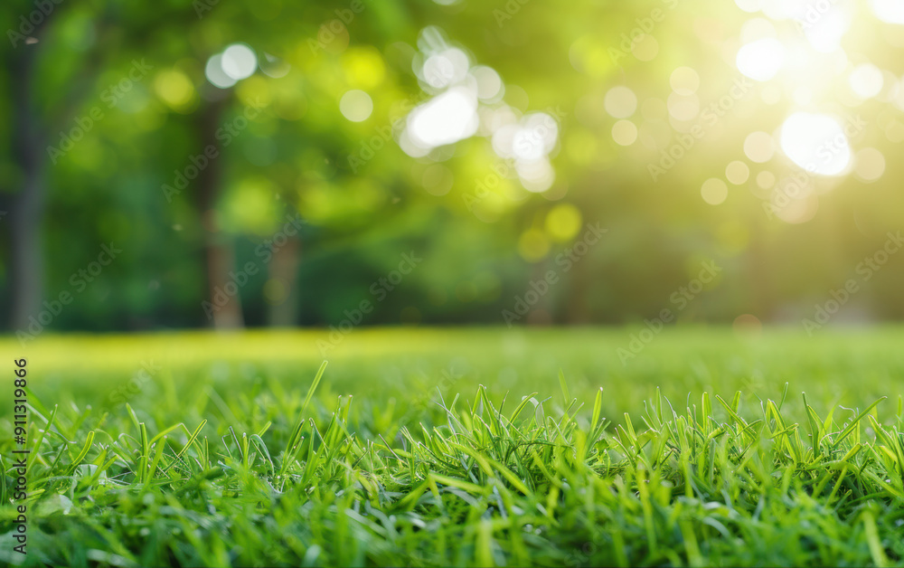 Aufkleber lush green grass in a sunlit park with a blurred background of trees and sunlight filtering through 