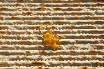 Jewish Passover matzah with honey, closeup of photo