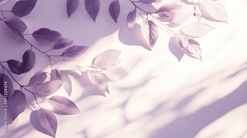 Poster elegant white and purple background with leaf shadows, creating a serene studio setting for showcasi