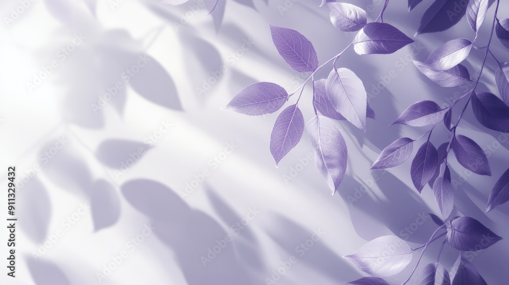 Poster elegant white and purple background with leaf shadows, creating a serene studio setting for showcasi