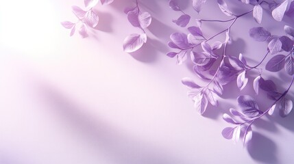 Elegant white and purple background with leaf shadows, creating a serene studio setting for showcasing products.