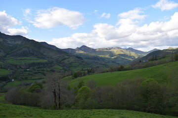 Auvergne series
