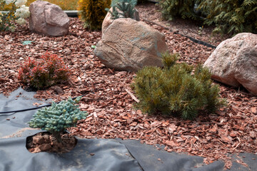 ground covered with chips and geotextile