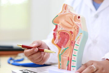 The respiratory system enables breathing, delivering oxygen to the blood and removing carbon dioxide. It includes the nose, trachea, lungs, and diaphragm, crucial for cellular respiration and overall 