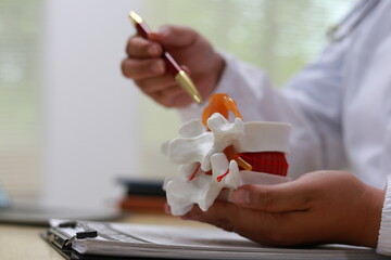 The intervertebral disc is a cushion-like structure between vertebrae in the spine, composed of a tough outer layer and a gel-like center, providing flexibility and absorbing spinal shock.