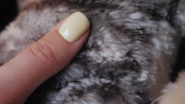 Polyester fabric close up, female hand touching textile.