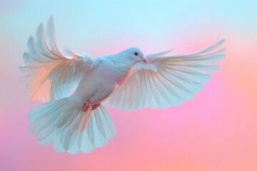 Global harmony: peace day, promoting worldwide peace, non violence, and understanding community events, educational programs, and aimed at fostering a culture of harmony