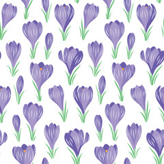 Vector seamless pattern with spring crocus flowers on a white background