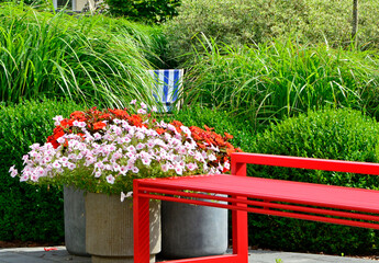 czerwona ławka ogrodowa z metalu na tle zilonych traw ozodbnych i kwiatów, metalowa ławka czerwona w ogrodzie, red metal garden bench and fowers, kącik wypoczynkowy, red metal bench in garden  © kateej