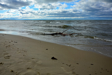 drewno na plaży na tle morza, kawałek drwena na plaży, malowniczy pejzaż nadmorski, log on the sand on the sea shore, beach scene with a large log and sand © kateej