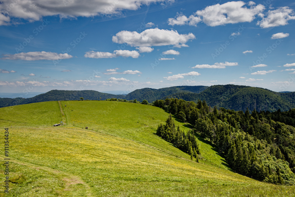 Sticker paysage des Vosges