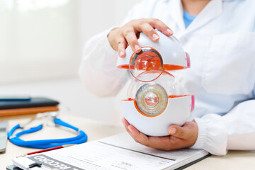 An eye doctor examines an anatomical model of the eye at the clinic, focusing on lens structure, vision health, and treatment options for various eye diseases.