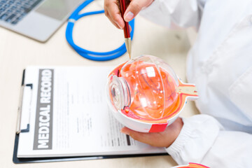 An eye doctor examines an anatomical model of the eye at the clinic, focusing on lens structure,...