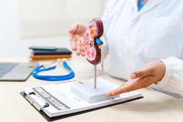 A doctor uses an anatomical kidney model to explain renal diseases, treatments, and diagnostics,...