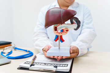 A liver doctor examines a model of the liver, focusing on diseases such as hepatitis, cirrhosis,...