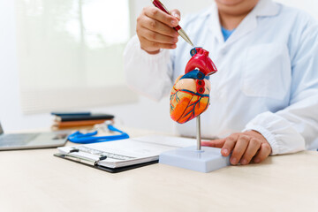 A cardiologist uses a heart model to demonstrate the anatomy, function, and treatment of...