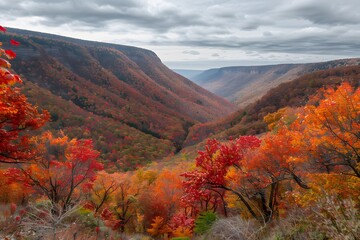Autumnal Valley with Crimson Trees