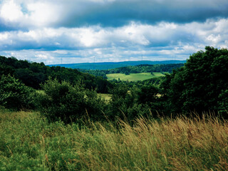 This image captures a picturesque scene of a rolling landscape dotted with lush green meadows and forests. In the distance, a line of wind turbines stands tall against a cloudy sky. 