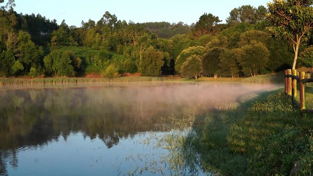 Evaporating water in a calm lake with a mist rising from the water. Sunrise next to a forest of trees reflected in the pond. Incredible phenomenon due to global warming. Beche, Abegondo Galicia Spain