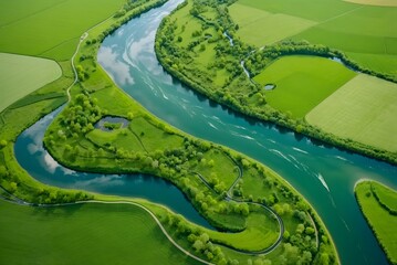 Gambia Mangroves. Aerial view of mangrove forest in Gambia. Photo made by drone from above. Africa Natural Landscape.
