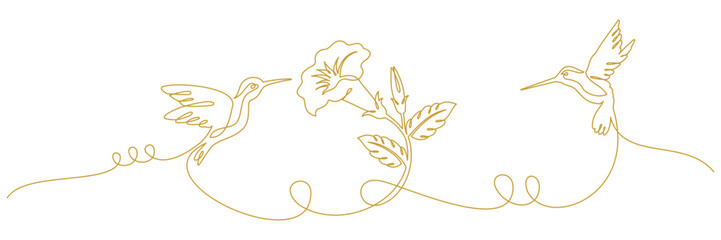 hummingbird continuous line 