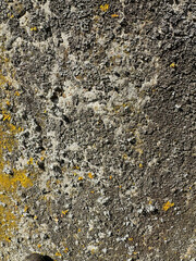 Concrete covered with lichen.