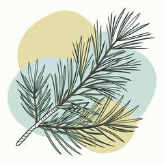 Vector Illustration of Pine Needles on a Background with Colorful Blue, Olive, and Orange Splatters. Autumnal Scene Featuring Detailed Pine Needle Design, Ideal for Seasonal Nature Prints and Fall-The