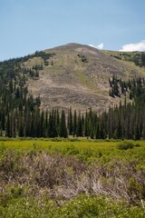 Scenic view of a green mountainous landscape on a sunny day