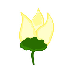 Simple Flower Doodle Vector Illustration