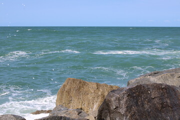 Ponce View 1