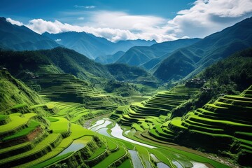 Breathtaking View of Verdant Rice Terraces Across the Rolling Hills of Banaue, Philippines