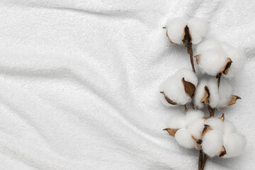 Soft Cotton Bolls on White Fabric Background - Natural and Organic Textile