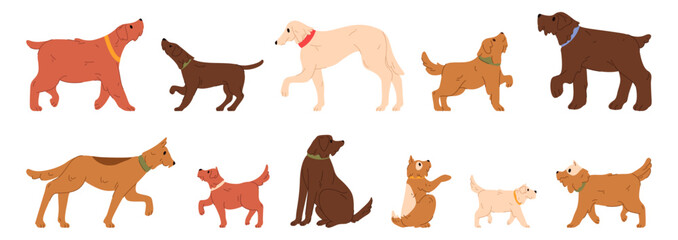 Obraz premium Domestic canine animals with furry coats and happy tails. Vector isolated set of pets, doggy with collars outdoors. Purebred breeds and stray dogs on streets. Profile view of cute doggies