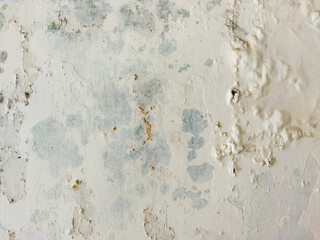 close up of the wall in front of house