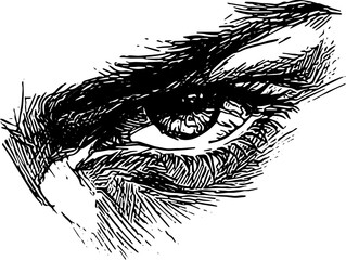 black and white sketch of a person