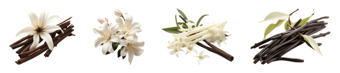 Set of vanilla flower and plant cutout. Isolated on a transparent background.