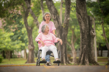 Fototapeta premium Two elderly women, one sitting in a wheelchair, enjoying time together in a park, surrounded by green trees and a serene environment.