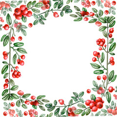 Lush botanical frame with cranberry branches, fruits and berries,  hand-drawn in watercolor. Floral template isolated on white background. Beautiful square frame for labelling, invitations and cards.
