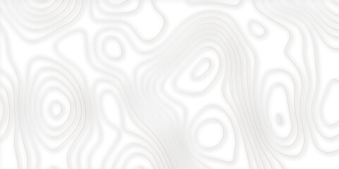 Abstract topographic contours 3d map background .topographic line texture background .monochrome image .stylized height of the topographic map contour in lines.	