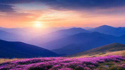 A breathtaking sunrise over a field of wildflowers in the mountains.