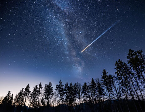 La nuit des &eacute;toiles filantes : Ast&eacute;ro&iuml;de au dessus de la for&ecirc;t