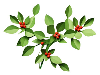 Obraz premium PNG Mistletoe plant leaf food.