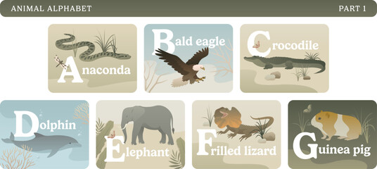 Animal alphabet colorful card set. Educational English learning illustrations. ABC with wild animals, nature, letters and flora elements. Part 1.
