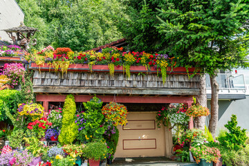 Obraz premium Crazy Flower House Section 3